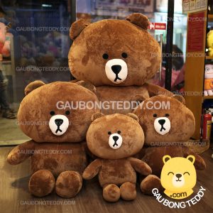 Gấu Brown Gấu Brown