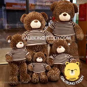 Gấu Teddy choco Gấu Teddy choco
