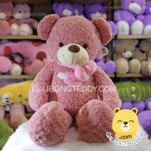 Gấu Teddy lông xoắn Angel Hồng Gấu Teddy lông xoắn Angel Hồng