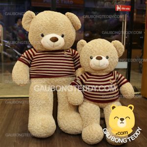 Gấu Teddy áo len kem sữa Gấu Teddy áo len kem sữa