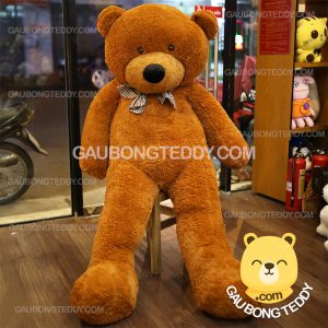 Gấu Teddy Boydz Gấu Teddy Boydz