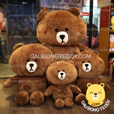 Hình ảnh gấu bông Teddy  PNG