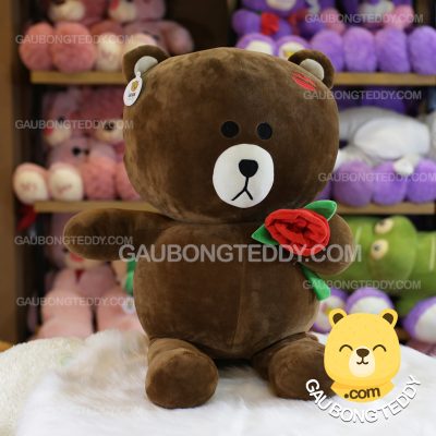Gấu Brown môi hôn ôm hoa hồng