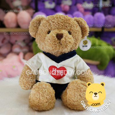 Gấu Teddy mặc áo nhung tim Hug Me
